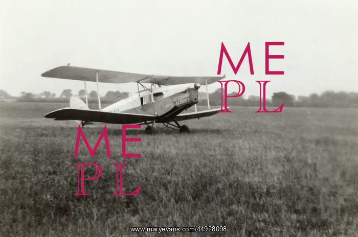 : de Havilland DH-83 Fox Moth : de Havilland DH-83 Fox Moth
