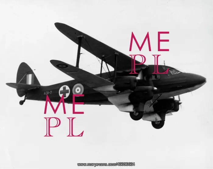 : De Havilland DH 86 Dragon Express -typifying the numero : De Havilland DH 86 Dragon Express -typifying the numero