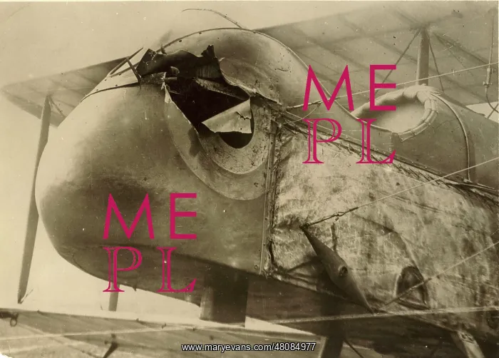 : de Havilland DH2 after being struck by a shell : de Havilland DH2 after being struck by a shell