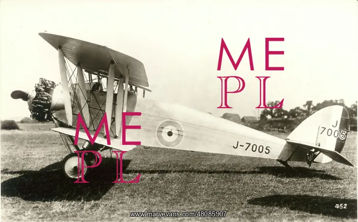 : de Havilland DH42 Dormouse J7005 : de Havilland DH42 Dormouse J7005