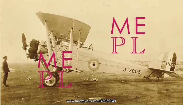 : de Havilland DH42 Dormouse J7005 : de Havilland DH42 Dormouse J7005