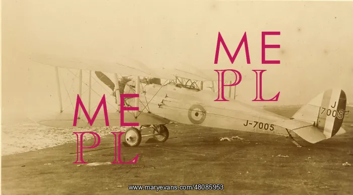 : de Havilland DH42 Dormouse J7005 : de Havilland DH42 Dormouse J7005