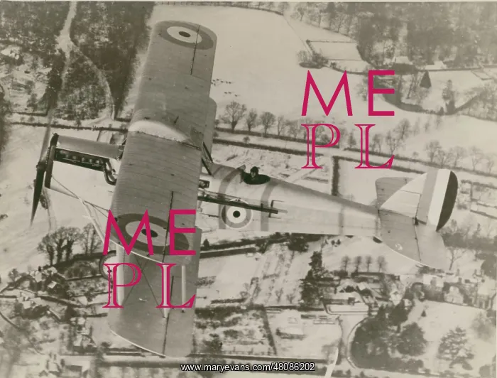 : de Havilland DH50 : de Havilland DH50