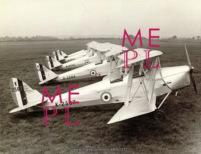 : de Havilland DH82 Tiger Moths : de Havilland DH82 Tiger Moths