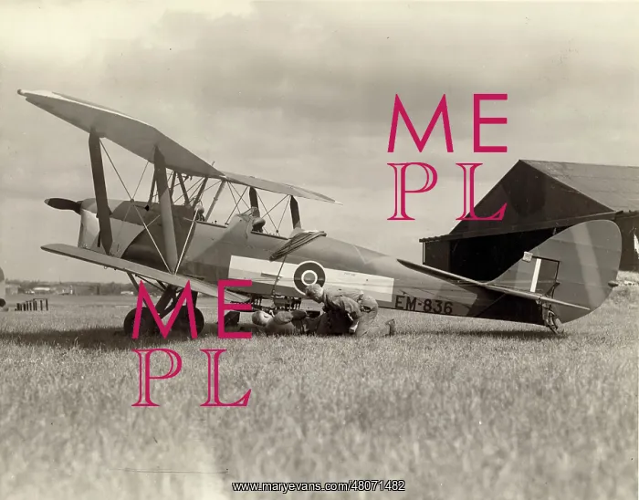 : de Havilland DH82A Tiger Moth II, EM836 : de Havilland DH82A Tiger Moth II, EM836