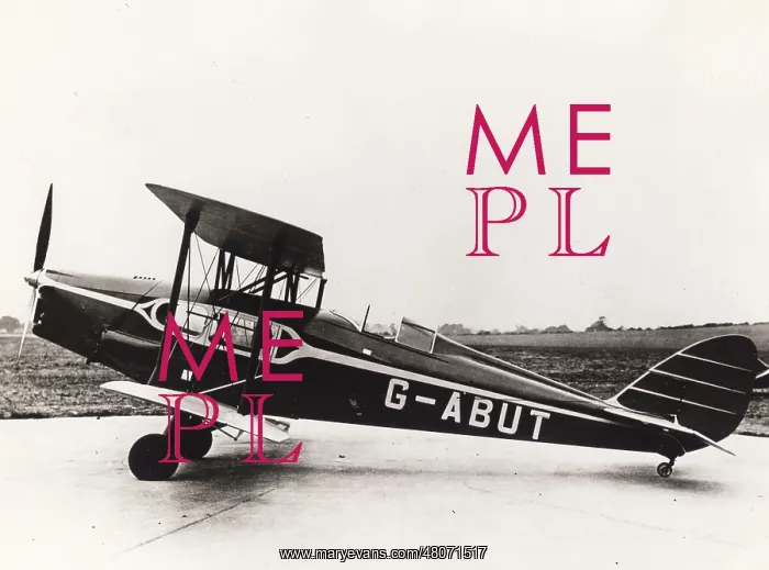 : de Havilland DH83 Fox Moth, G-ABUT : de Havilland DH83 Fox Moth, G-ABUT