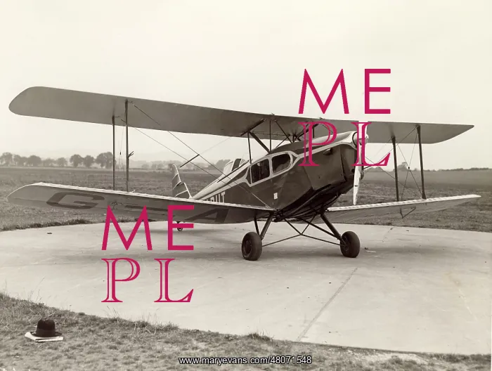 : de Havilland DH83 Fox Moth, G-ABUT : de Havilland DH83 Fox Moth, G-ABUT