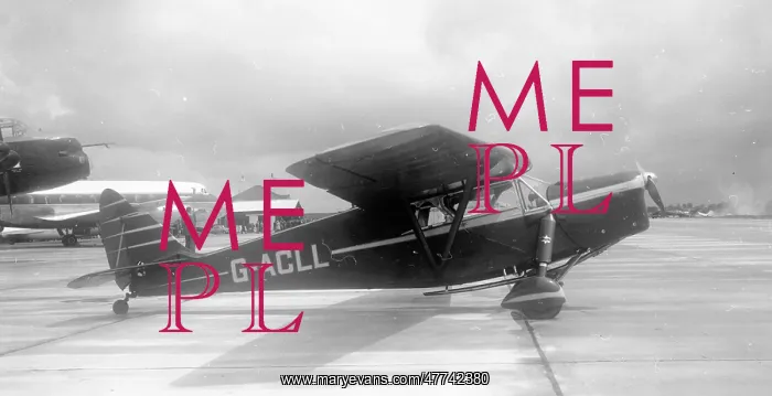 : de Havilland DH.85 Leopard Moth G-ACLL : de Havilland DH.85 Leopard Moth G-ACLL