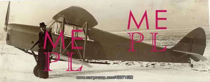 : de Havilland DH87A Hornet Moth : de Havilland DH87A Hornet Moth
