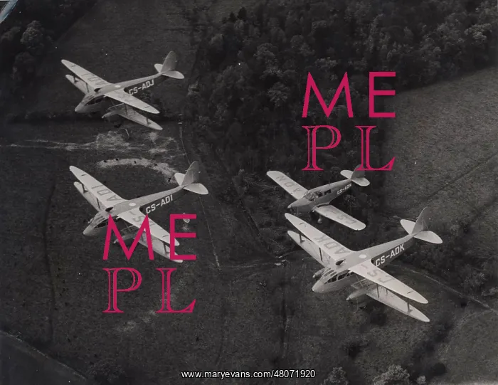  : Three de Havilland DH89 Dragon Rapides CS-ADI CS-ADJ