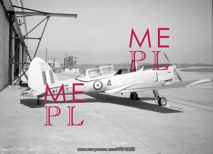 : de Havilland DHC-1 Chipmunk T.10 WP829 4 : de Havilland DHC-1 Chipmunk T.10 WP829 4