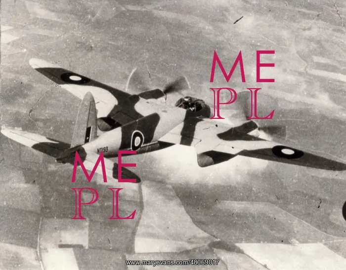 : de Havilland Mosquito FBVI NT193 : de Havilland Mosquito FBVI NT193