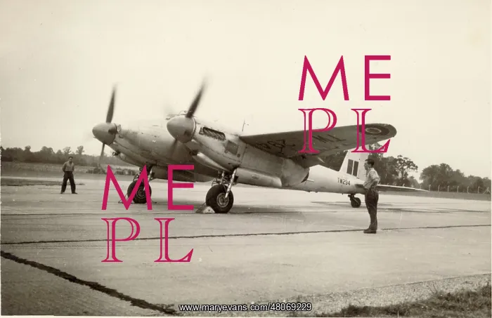 : de Havilland Mosquito TR33 TW294 : de Havilland Mosquito TR33 TW294