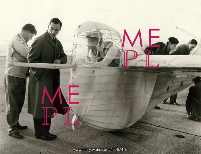 : de Havilland Puffin : de Havilland Puffin