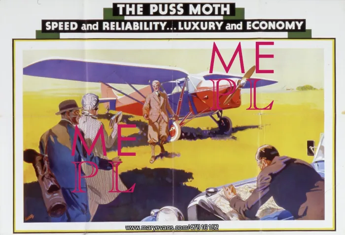 : De Havilland Puss Moth : De Havilland Puss Moth