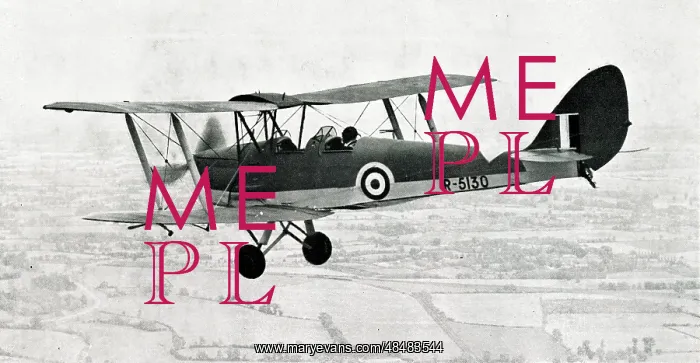 : De Havilland Tiger Moth Elementary Trainer Aircraft, WW2 : De Havilland Tiger Moth Elementary Trainer Aircraft, WW2