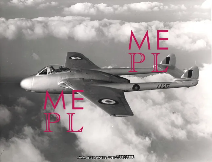 : de Havilland Vampire FB5 VV217 : de Havilland Vampire FB5 VV217