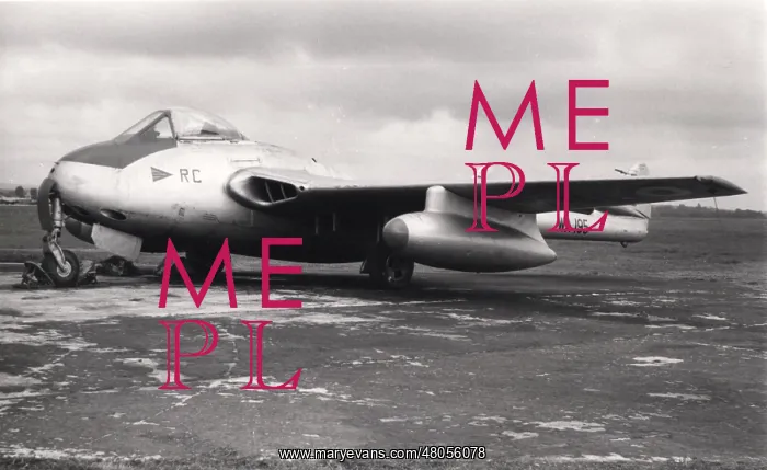 : de Havilland Vampire FB5 WA195 : de Havilland Vampire FB5 WA195