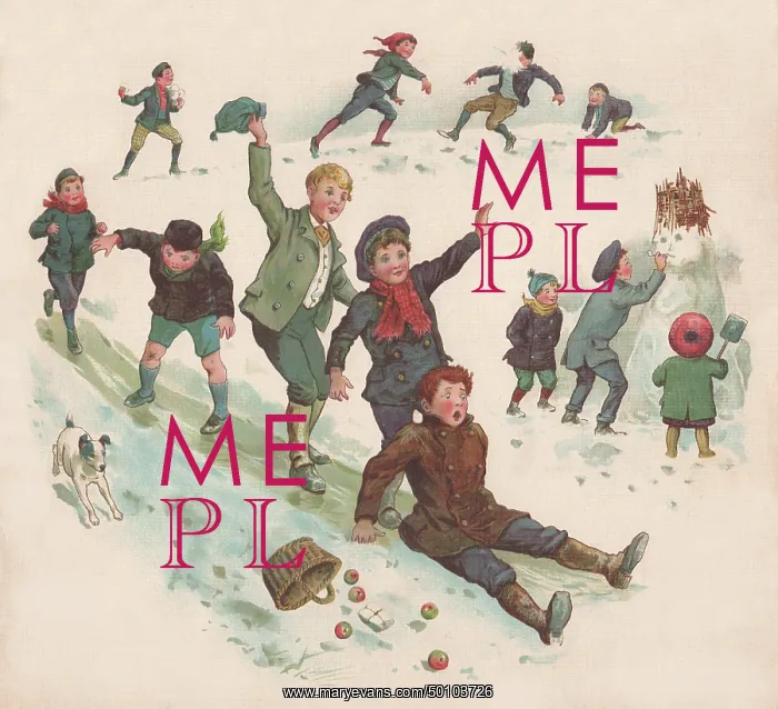 : Having Fun in the Snow : Having Fun in the Snow