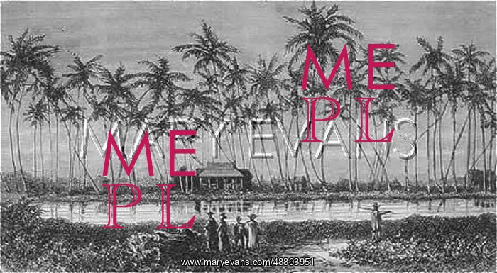 : HAWAII / WAIKIKI C1870 : HAWAII / WAIKIKI C1870