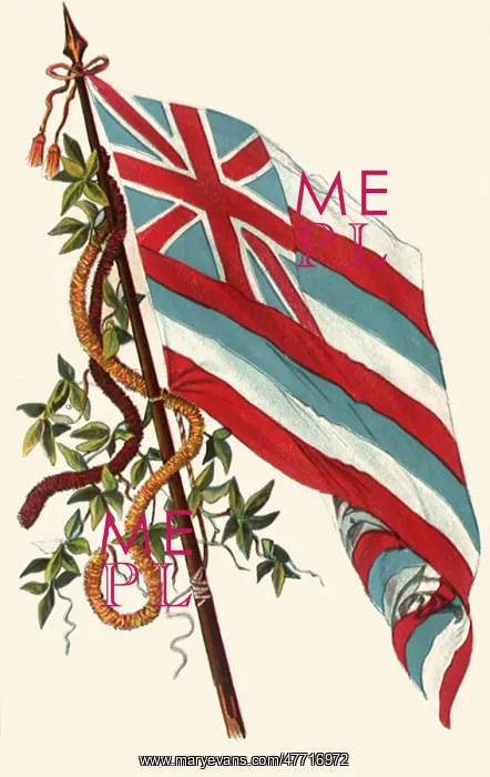 : Hawaiian Flag : Hawaiian Flag