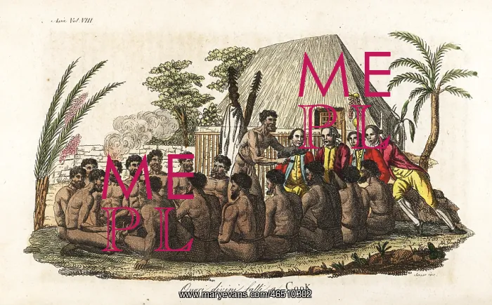 : Hawaiian natives offer a sacrificial pig to : Hawaiian natives offer a sacrificial pig to