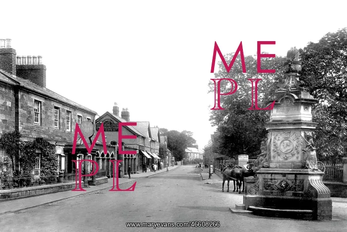  : Hawarden, the Village 1903