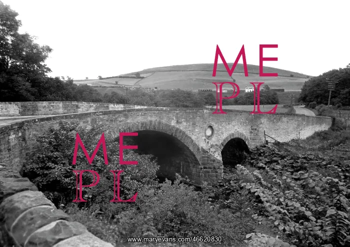  : Hawick, Crowbyers Bridge and Greenbrae Head c1955