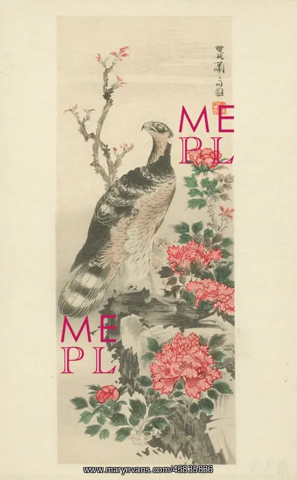 : Hawk with Peonies by Soga Shohaku : Hawk with Peonies by Soga Shohaku