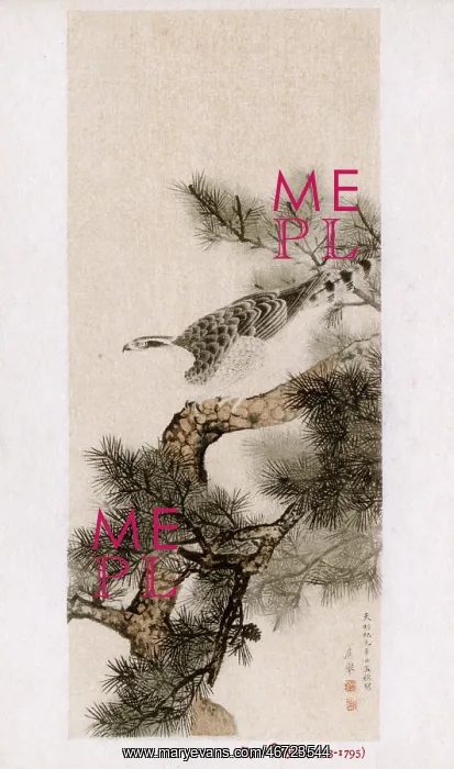  : Hawk on a pine tree by Maruyama Okyo