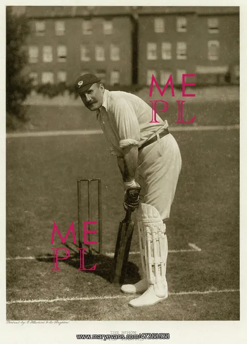 : Hawke - Cricketer : Hawke - Cricketer