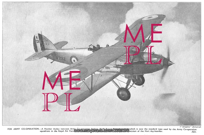  : Hawker Audax