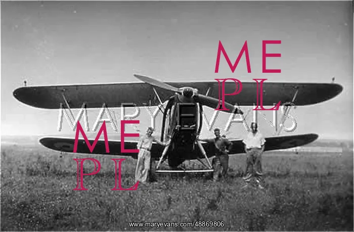 : HAWKER AUDAX PLANE 1933 : HAWKER AUDAX PLANE 1933