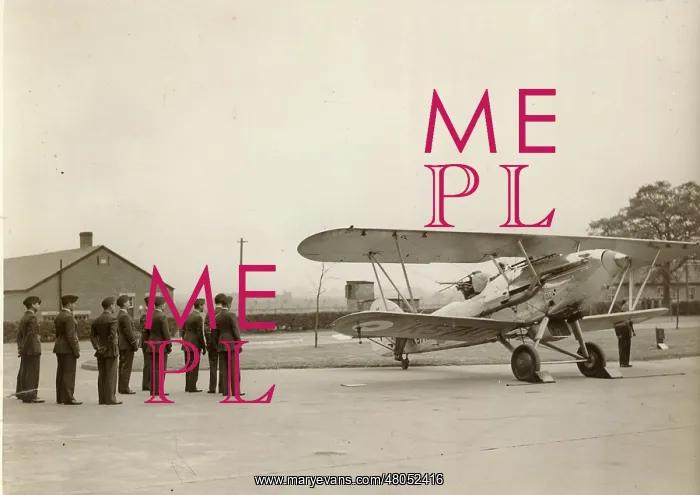 : Hawker Demon I K5710 at Northolt being viewed by the King : Hawker Demon I K5710 at Northolt being viewed by the King