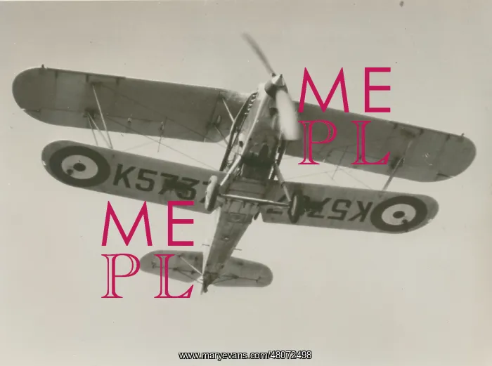 : Hawker Demon, K5737 : Hawker Demon, K5737