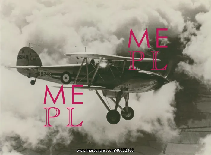 : Hawker Fury, K8249 : Hawker Fury, K8249