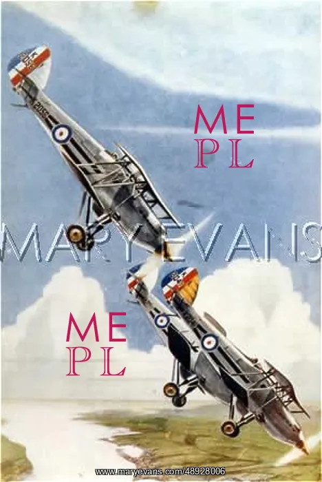 : HAWKER FURY WARPLANES