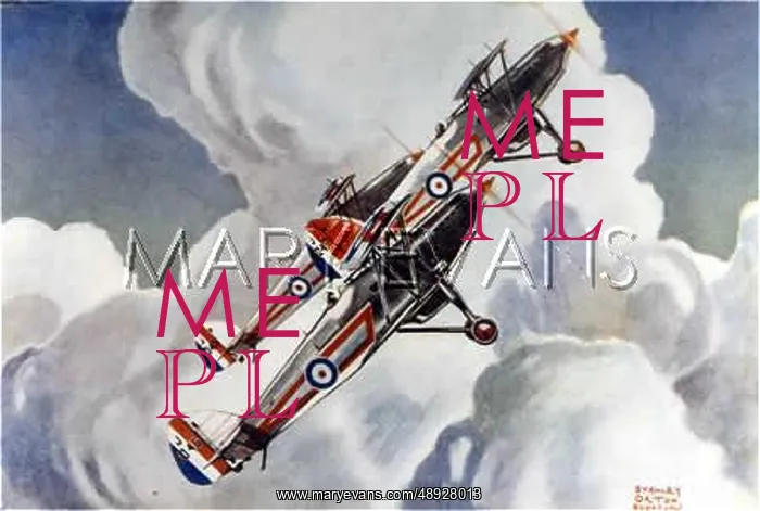  : HAWKER FURY WARPLANES