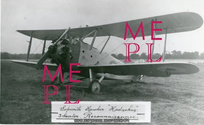 : Hawker Hedgehog, N187 in 1924 in its initial form : Hawker Hedgehog, N187 in 1924 in its initial form