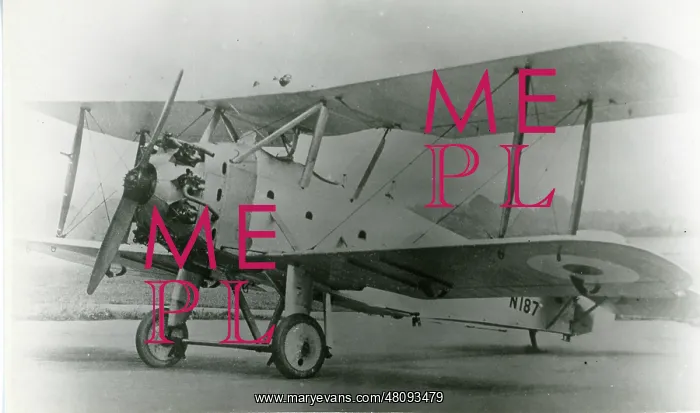 : Hawker Hedgehog, N187 with modified undercarriage : Hawker Hedgehog, N187 with modified undercarriage