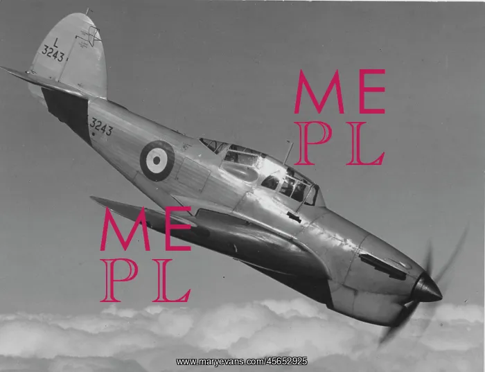 : Hawker Henley -started life as a light bomber, but rele : Hawker Henley -started life as a light bomber, but rele