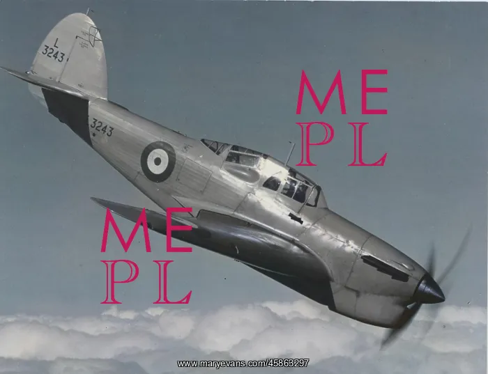: Hawker Henley -started life as a light bomber, but rele? : Hawker Henley -started life as a light bomber, but rele?
