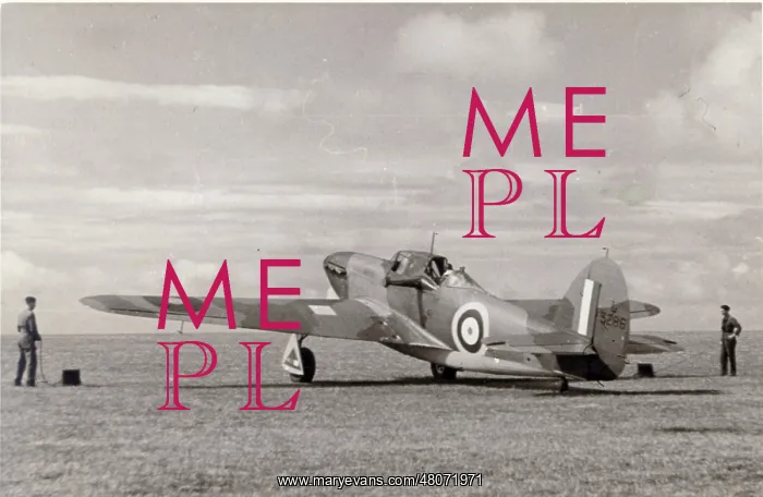: Hawker Henley TTIII, L3286 : Hawker Henley TTIII, L3286