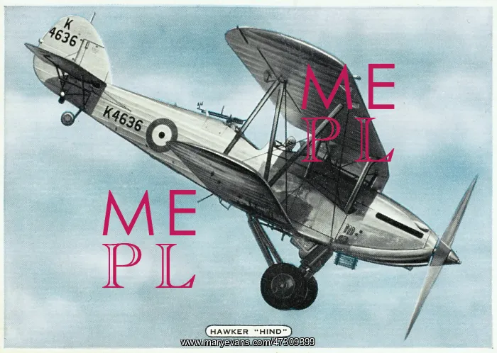 : HAWKER HIND : HAWKER HIND