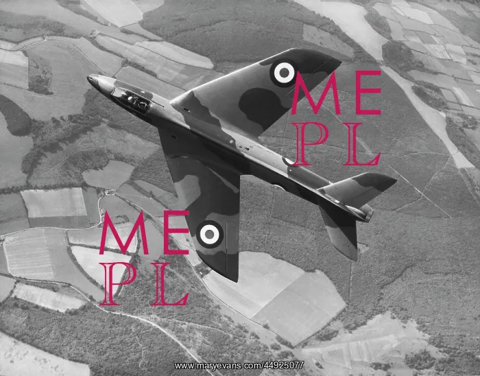 : Hawker Hunter : Hawker Hunter