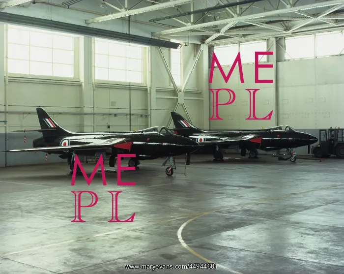 : Hawker Hunter : Hawker Hunter