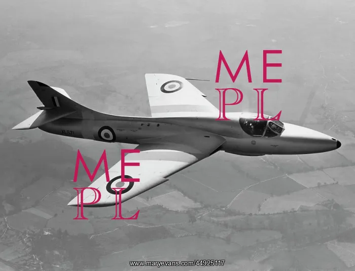 : Hawker Hunter T-7 : Hawker Hunter T-7