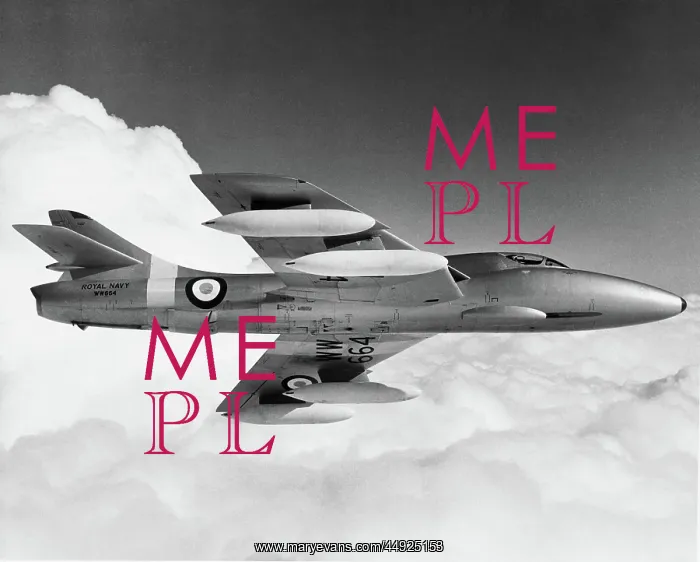 : Hawker Hunter T-8 : Hawker Hunter T-8