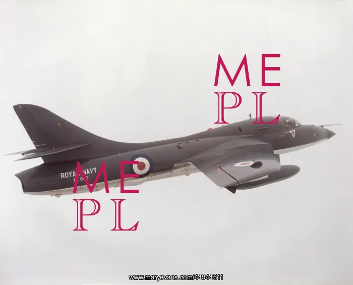 : Hawker Hunter T-8M : Hawker Hunter T-8M