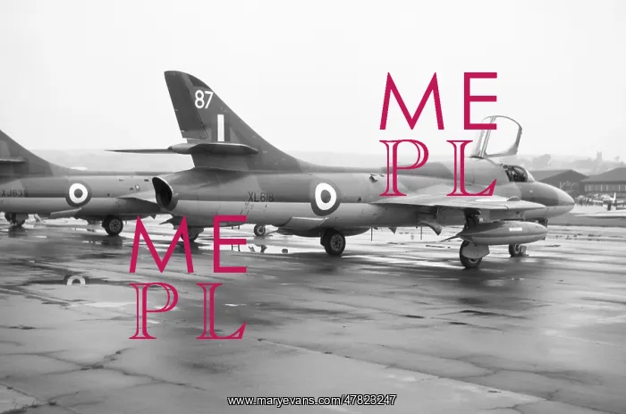 : Hawker Hunter T.7 XL618 87 : Hawker Hunter T.7 XL618 87